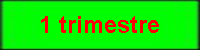 1_trimestre.png