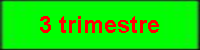 3_trimestre.png