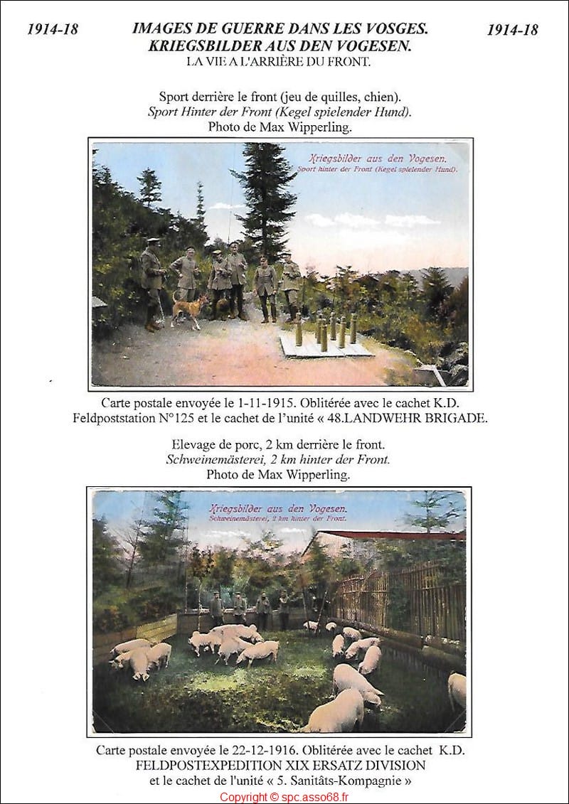 carte_vosges_069.jpg