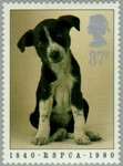 1990_g-b_chiot_v.jpg