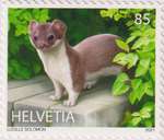 suisse_2021_hermine_v.jpg