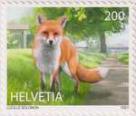suisse_2021_renard_v.jpg