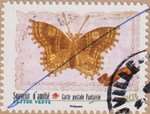 2022_c_carte-postale-papillon_v.jpg