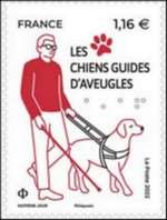 2022_chiens-guides-aveugles_v.jpg