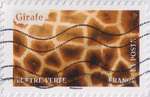 2024_c_animaux-couleurs-girafe_v.jpg