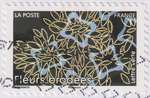 2025_c_la-broderie_carres-bleus-gris_v.jpg