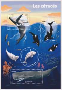 2026_b_cetaces_v.jpg