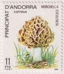 andorre_esp_1984_morille_v.jpg