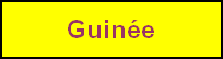 guinee.png