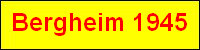 bergheim.png