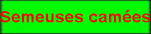 semeuses_camees.png