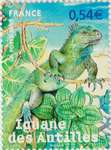 2007_b_animaux-outre-mer-iguane_v.jpg