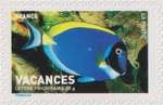 2007_c_vacance_poisson_v.jpg