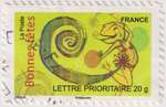 2008_c_bonne-fete_cameleon_v.jpg