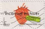 2008_c_environnement_fraise_v.jpg