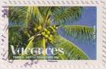 2008_c_vacance_cocotier_v.jpg