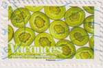 2008_c_vacance_kiwis_v.jpg