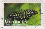 2008_c_vacance_papillon_v.jpg