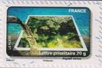 2010_c_jdt-pollution-algues-vertes_v.jpg