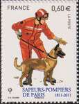 2011_b_pompier-chien-sauveteur_v.jpg