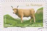 2014_c_vache-bearnaise_v.jpg