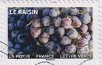 2023_c_fruits-a-savourer-raisins_v.jpg