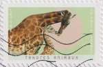 2023_c_tendres_animaux-girafes_v.jpg