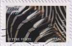 2024_c_animaux-couleurs-zebre_v.jpg