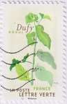2024_c_dufy_y2425_v.jpg