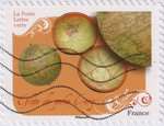 2024_c_globes-terrestre-poche_v.jpg