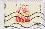 2024_c_patisserie-fraisier_v.jpg