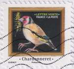 2025_c_oiseaux_chardonneret_v.jpg