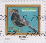 2025_c_oiseaux_merle_v.jpg