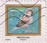 2025_c_oiseaux_moineau_v.jpg