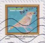 2025_c_oiseaux_rossignol-philomele_v.jpg