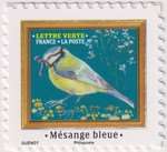 2025_f_oiseaux-mesange_v.jpg